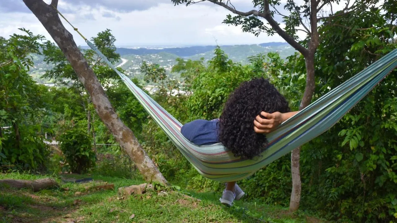 Luxusní stan Camping Para Dos - A Escoger, Segun Disponibilidad De Cabana Caguas Portoriko