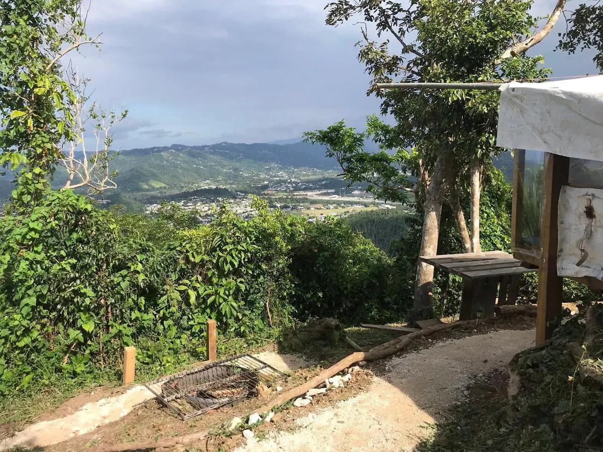 Camping Para Dos - A Escoger, Segun Disponibilidad De Cabana Caguas 0*,